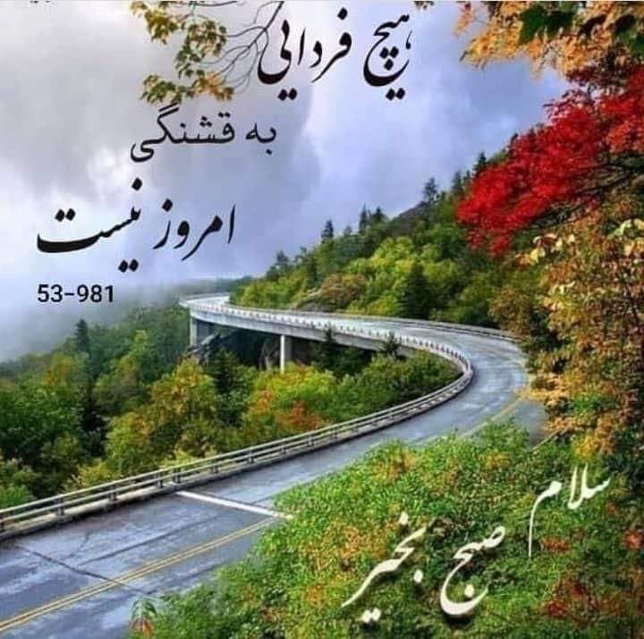 عکس رزومه در جاب یابی